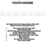 Hermantown Volleyball Youth Hoodie DT6100Y